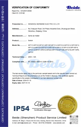 IP54 certified electrical switch manufacturers in China
